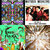 jyotiimix thumbnail